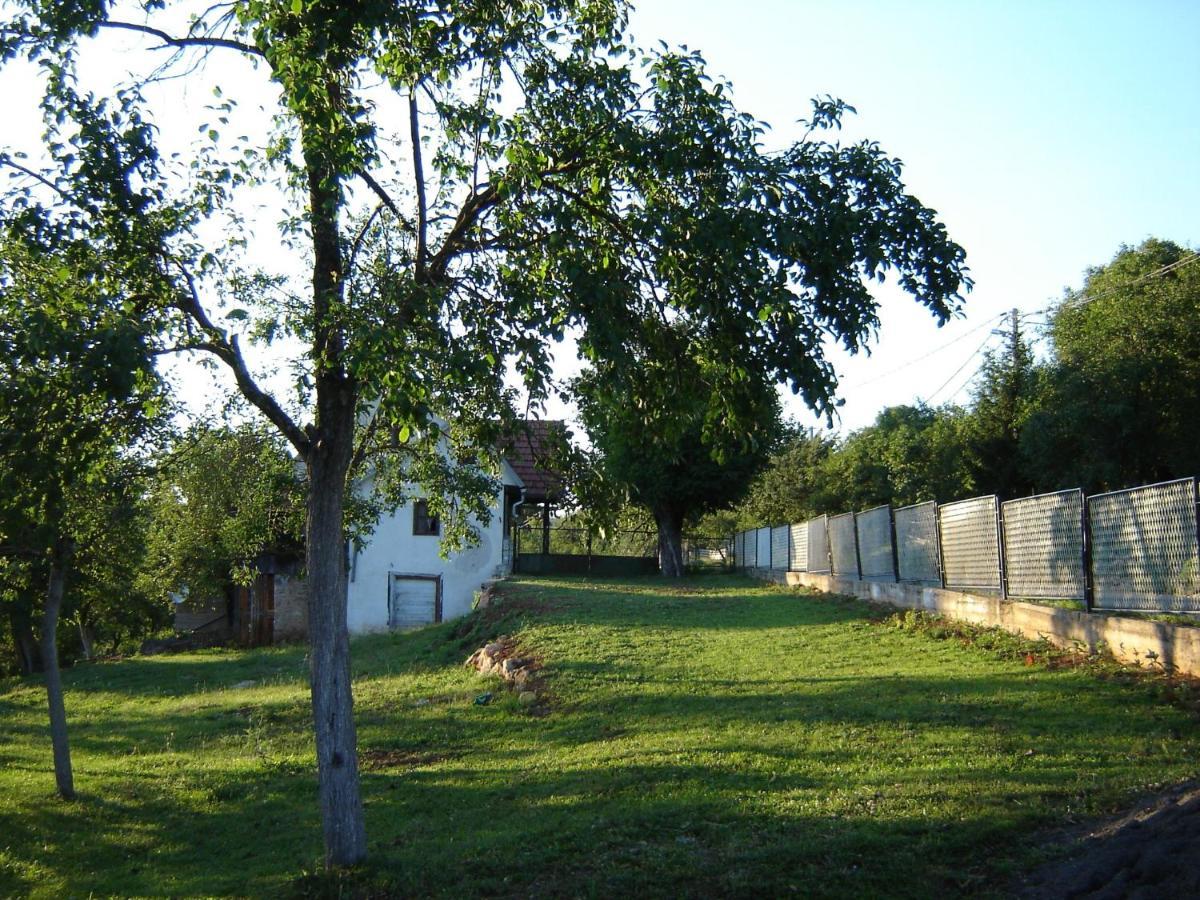 Apartman Nika Otočac Exterior foto